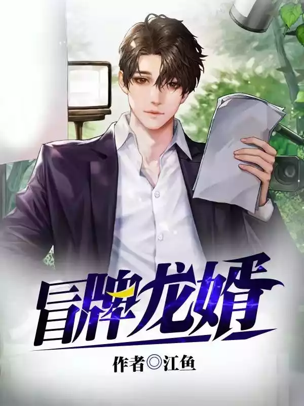 冒牌龙婿小说小说