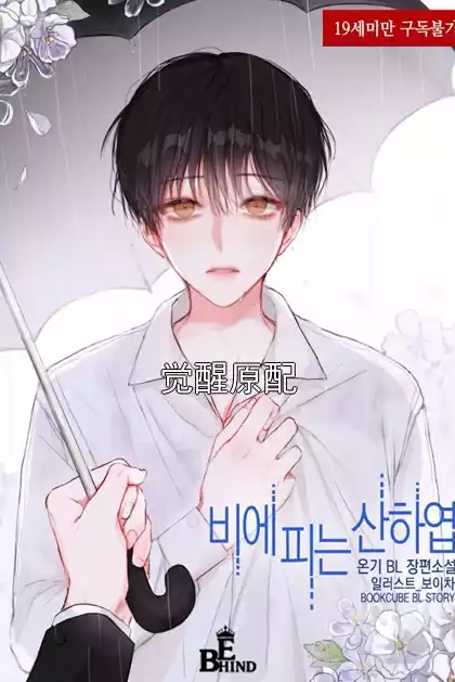 觉醒原配小说