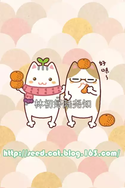 林初妤陆尧知小说