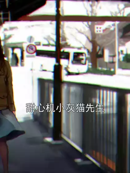 甜心机小灰猫先生小说
