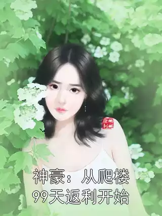 神豪：从爬楼99天返利开始小说