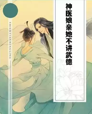 神医娘亲她不讲武德