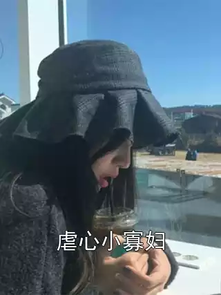 虐心小寡妇小说