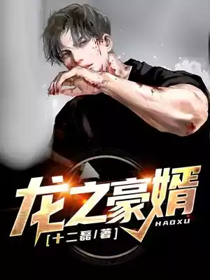 龙之豪婿小说