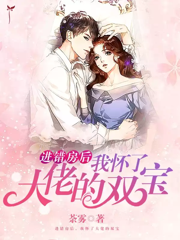 进错房后，我怀了大佬的双宝小说