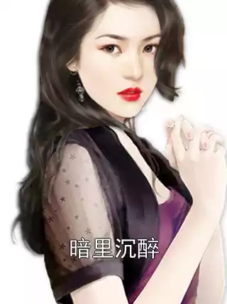 暗里沉醉小说