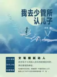 我去少管所认儿子小说