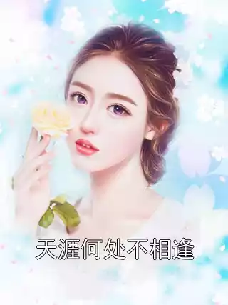 天涯何处不相逢小说