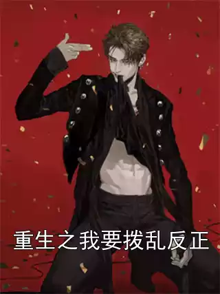 重生之我要拨乱反正小说