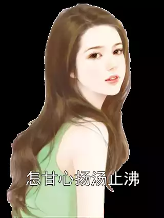 怎甘心扬汤止沸小说