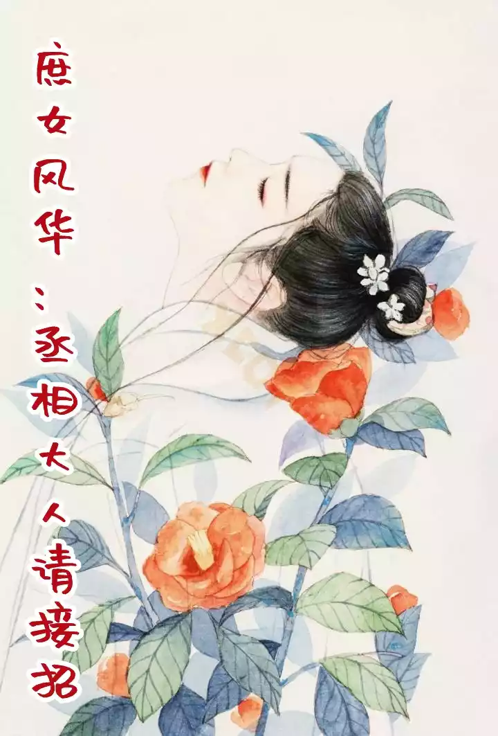庶女风华丞相大人请接招小说