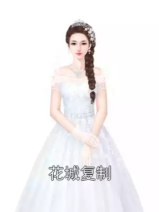 花城复制小说