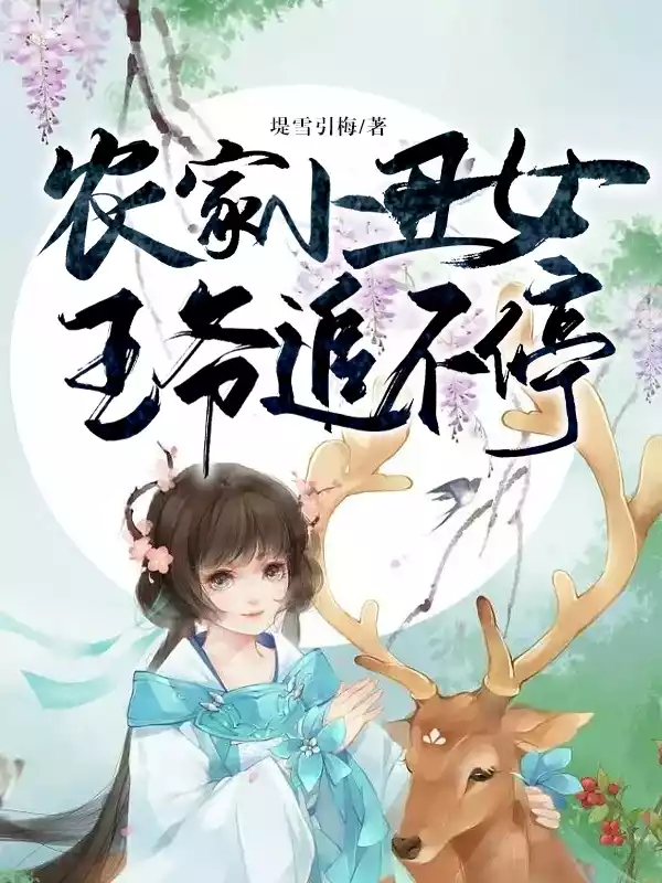 农家小丑女，王爷追不停小说