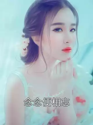 念念便相忘小说