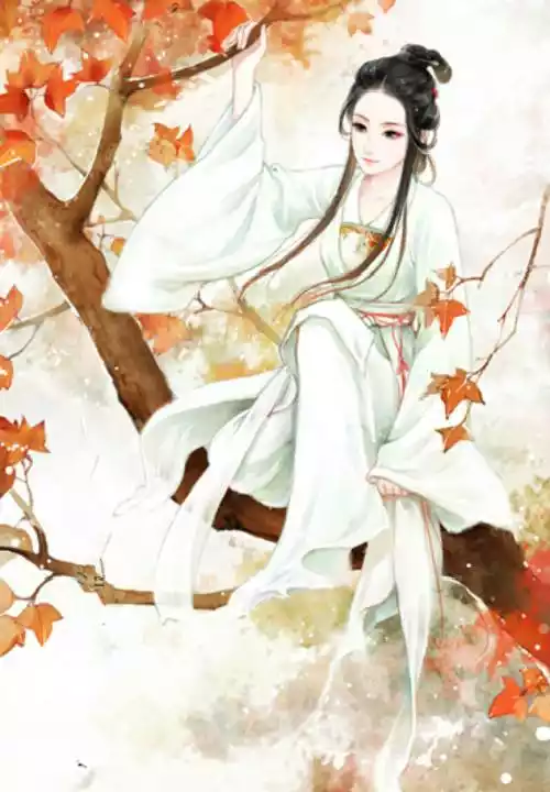 繁华不及你一笑