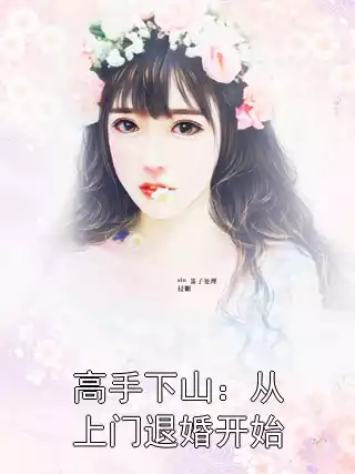 高手下山：从上门退婚开始小说