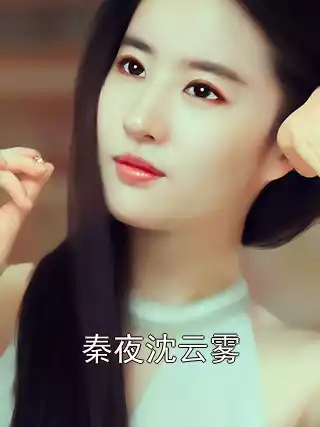 秦夜沈云雾小说
