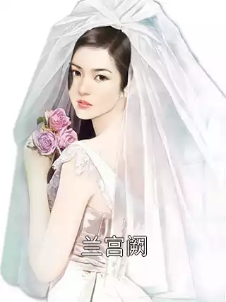 兰宫阙小说