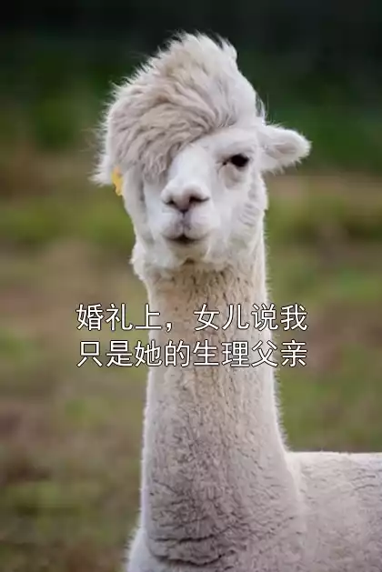 婚礼上，女儿说我只是她的生理父亲小说