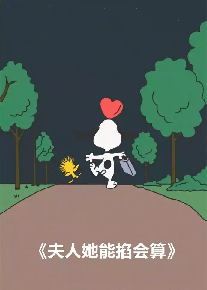 夫人她能掐会算