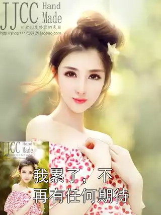 我累了，不再有任何期待小说