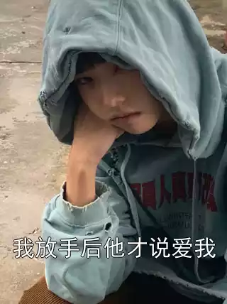 我放手后他才说爱我小说