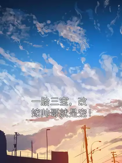 一胎三宝，改嫁帅哥就是宠！小说
