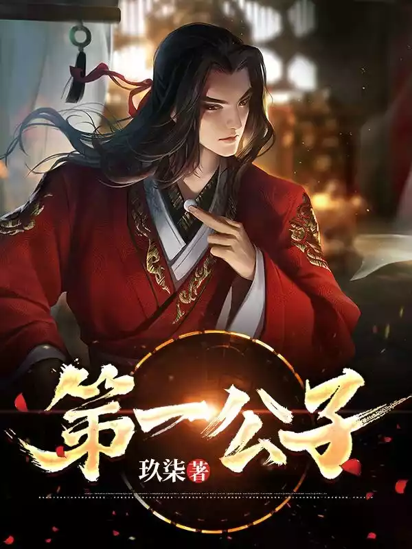 第一公子小说