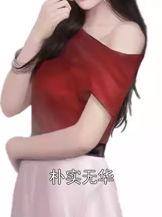 朴实无华小说