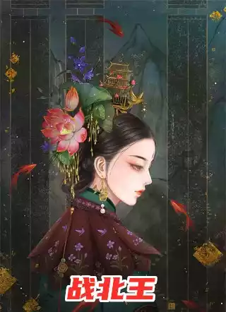 战北王小说