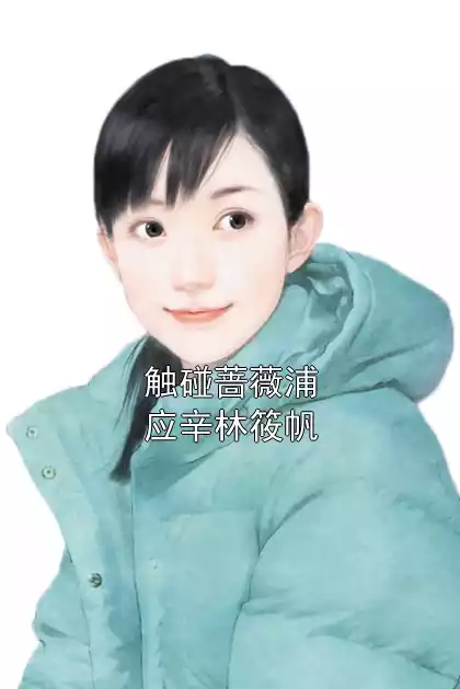 触碰蔷薇浦应辛林筱帆小说