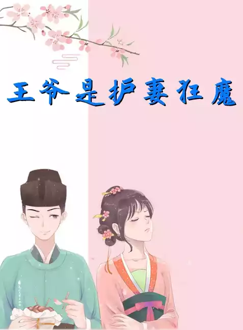王爷是护妻狂魔小说