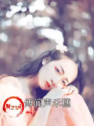 傅闻声禾穗小说