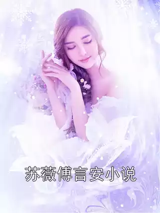 苏薇傅言安小说