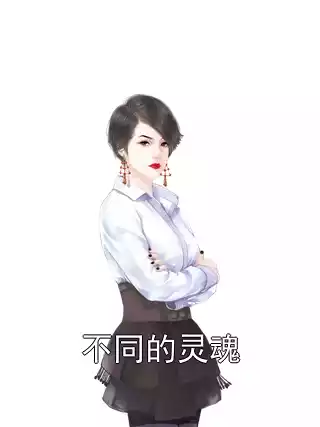 不同的灵魂小说
