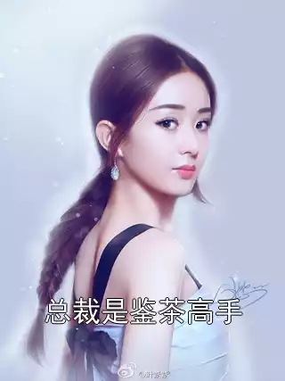 总裁是鉴茶高手小说