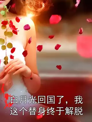 白月光回国了，我这个替身终于解脱小说