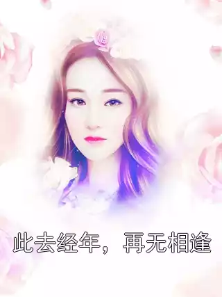 此去经年，再无相逢小说
