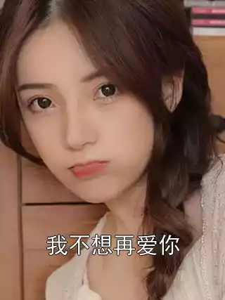 我不想再爱你小说