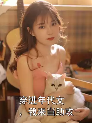 穿进年代文，我来当助攻