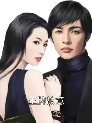 王牌故意小说