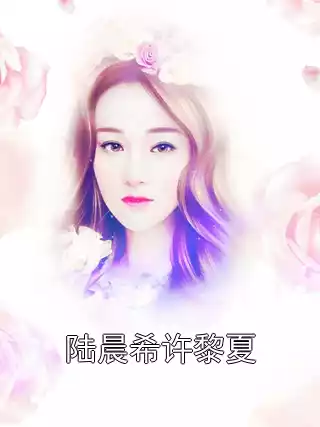 陆晨希许黎夏小说