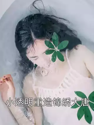 小透明重造锦绣大唐小说
