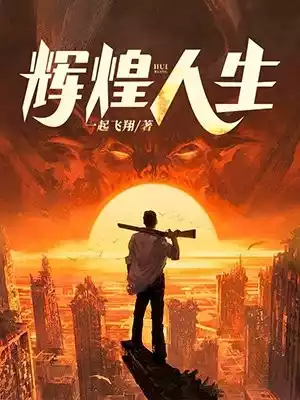 辉煌人生小说
