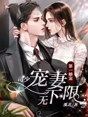 第一婚宠司少宠妻无下限