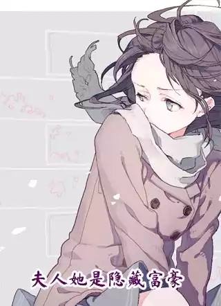夫人她是隐藏富豪小说