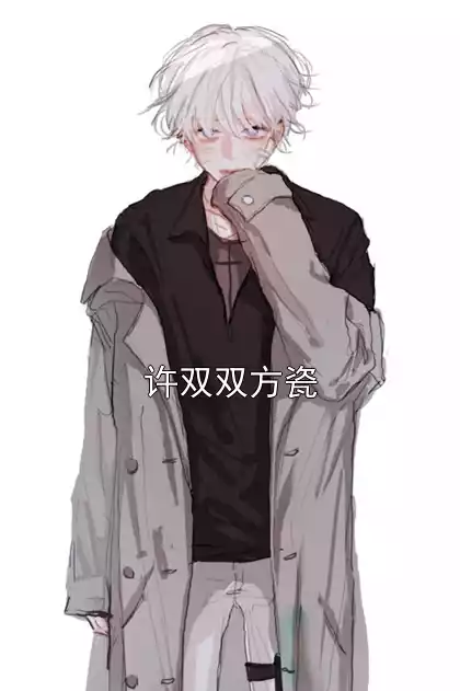 许双双方瓷小说