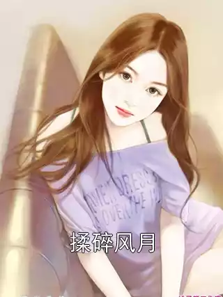 揉碎风月小说