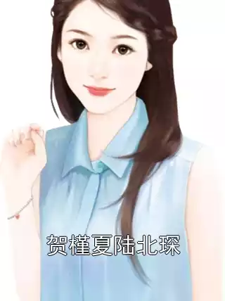 贺槿夏陆北琛小说