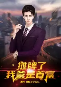 摊牌了我爹是首富小说